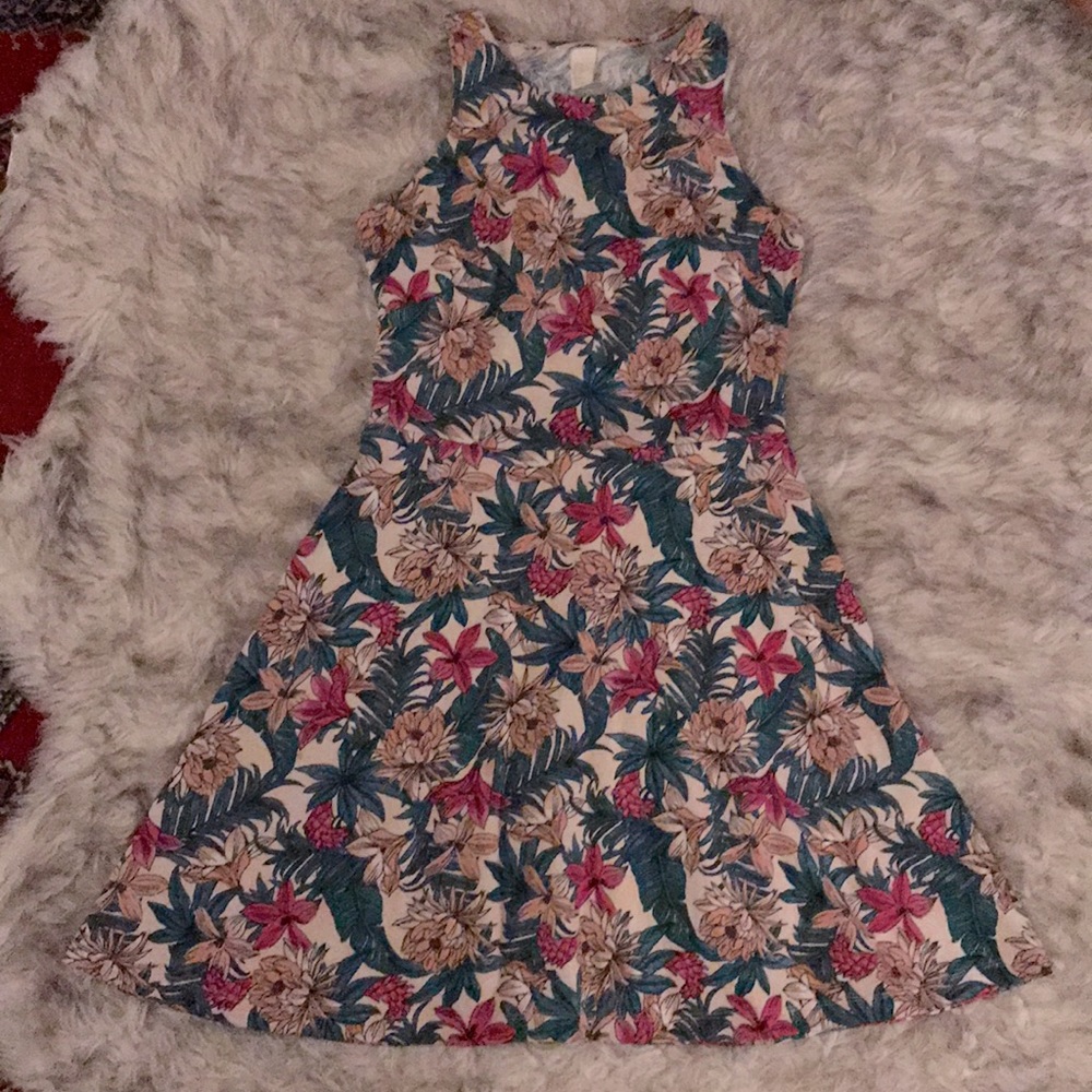 H&M Paradise Print Dress